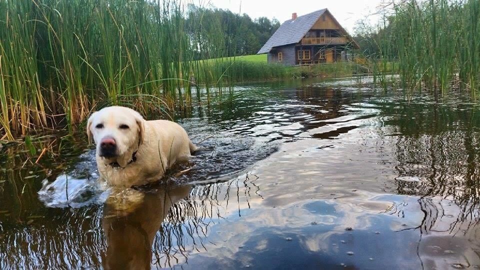 Дома для отпуска Līgatnes Zemturi Augšlīgatne-11